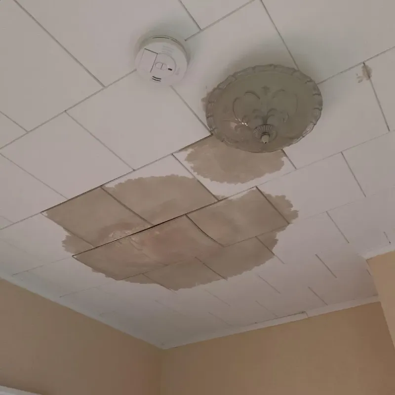 Ceiling Water Damage Repair in Oakleaf Plantation, FL
